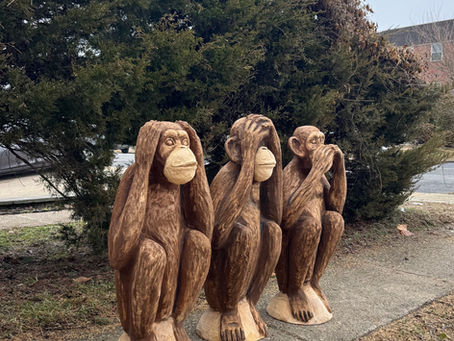 Monkeys๐๐๐