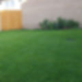 Thumbnail: HM All American Dark Green Lawn Grass Seed Mix