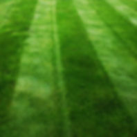HM All American Dark Green Lawn Grass Seed Mix