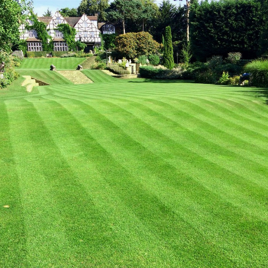 Thumbnail: HM.3 Hard Wearing Lawn Grass Seed Mix (HM3)