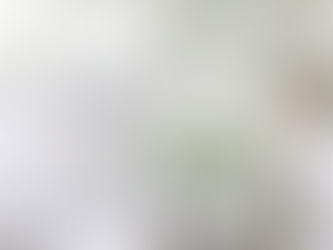 White on white on white interior styling