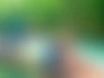 Best All-Inclusive Caribbean Honeymoon Resorts (2026 Guide)