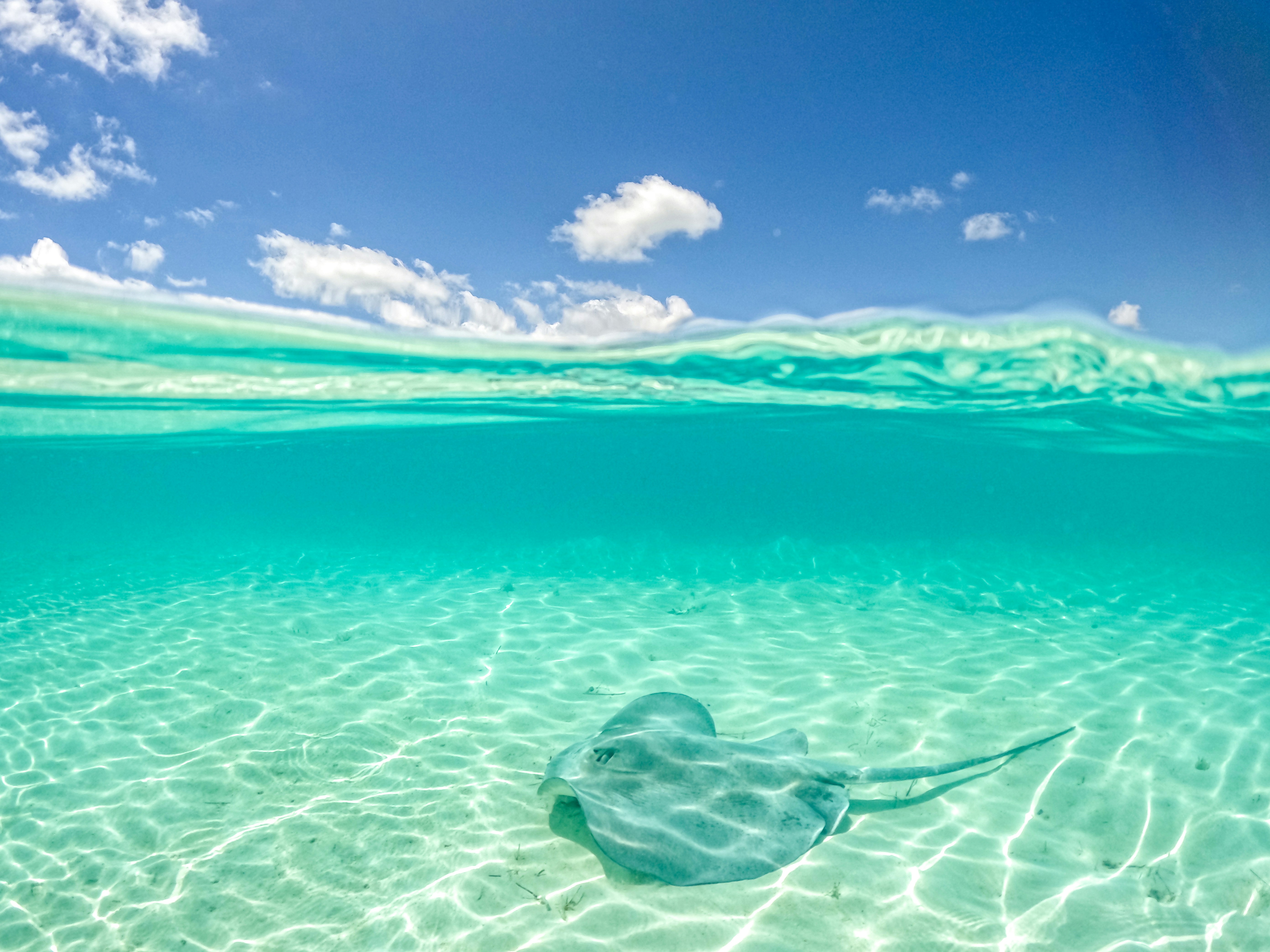 Turquoise shallows surrounding Great Exuma in the Bahamas