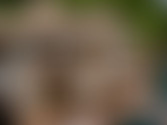 Quietest Sandals Resorts for Couples