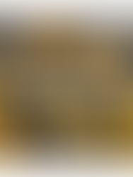 CURATED BY BSM VOL.10