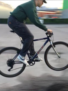 WOD VOL. VI: WERNERI VANHANEN, GARBADURA