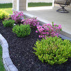 easy-landscaping-ideas-beginners-mybktouch-306799.jpg