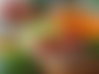 Meal planning can be a game-changer!