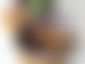 Creme de Avocado Proteico de Cacau