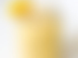 Smoothie de Manga com Cardamomo