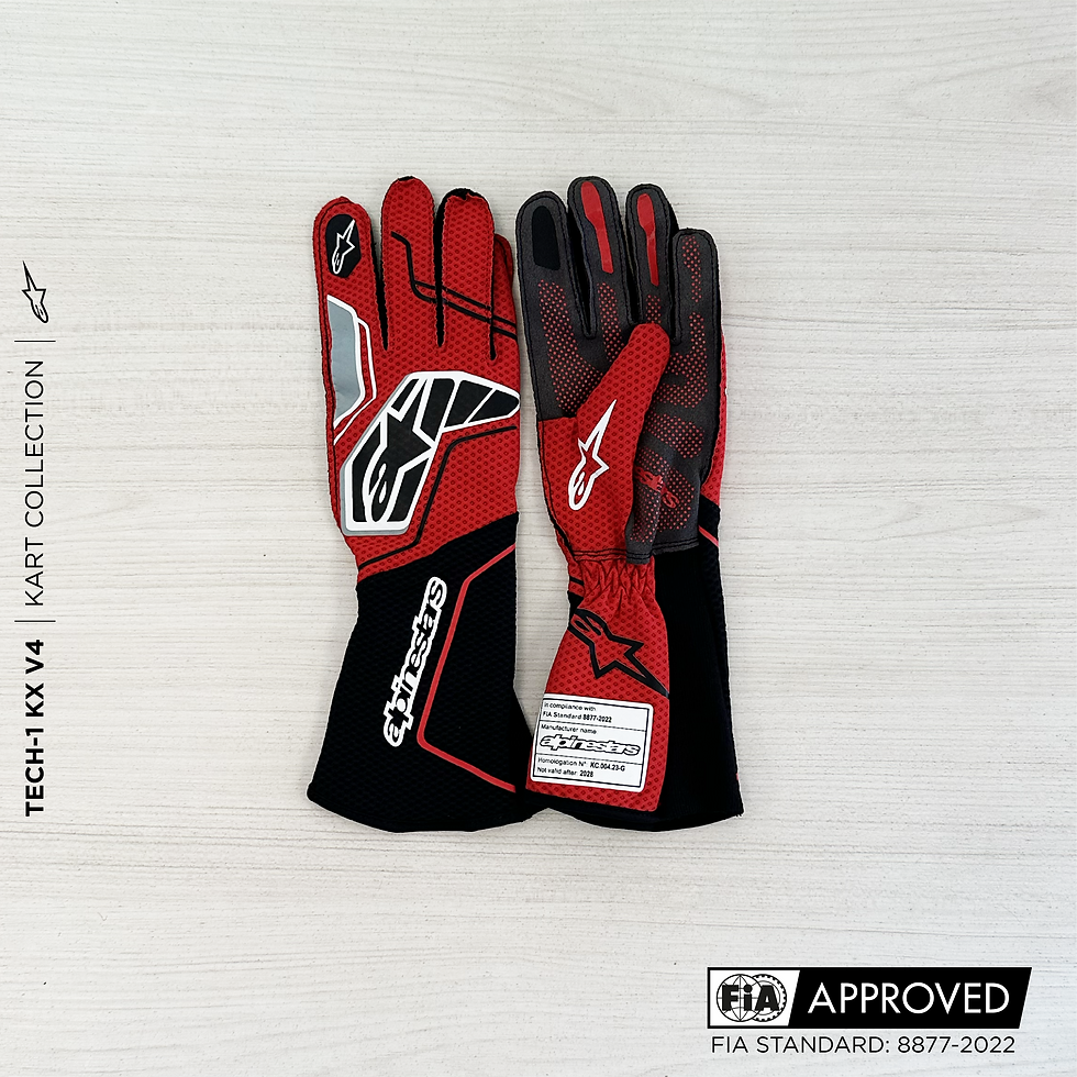 Miniatura: Guantes Karting Tech-1 KX V4
