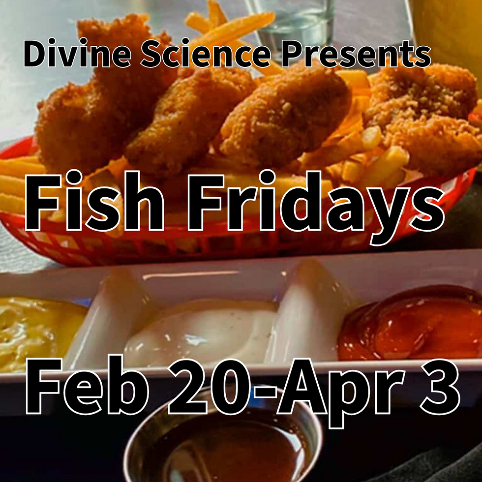 Fish Fridays!