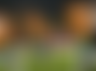Banfield intentará acercarse a la fase de grupos de la Copa Libertadores en su duelo con Nacional de