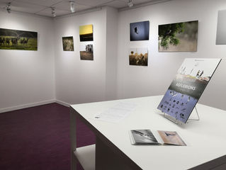 Expositions
