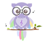 Wonderland Piano Studio Owl