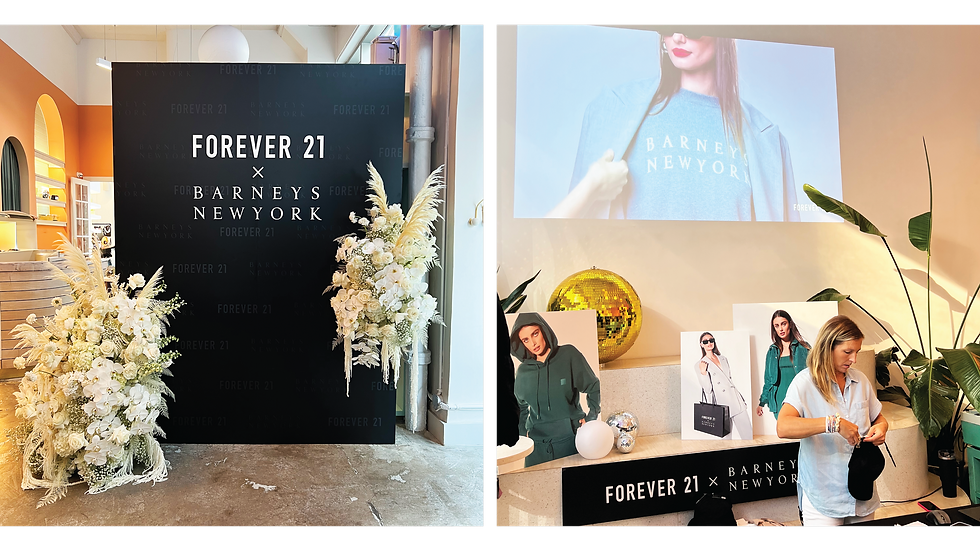 BARNEYS_WEB_PRESENTATION-04.png