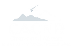 Centennial Airport Community Noise Roundtable logo