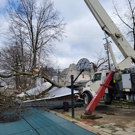 Emergency Tree Services