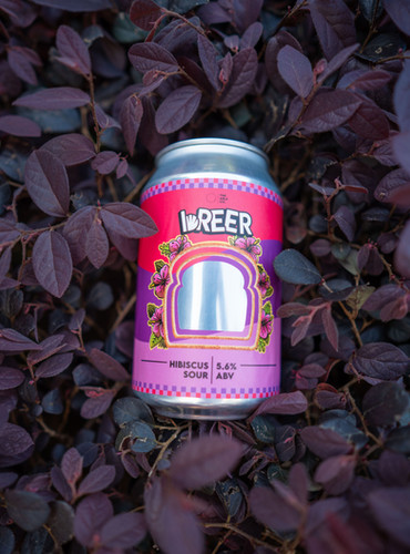 Hibiscus Sour 6 Pack image 1