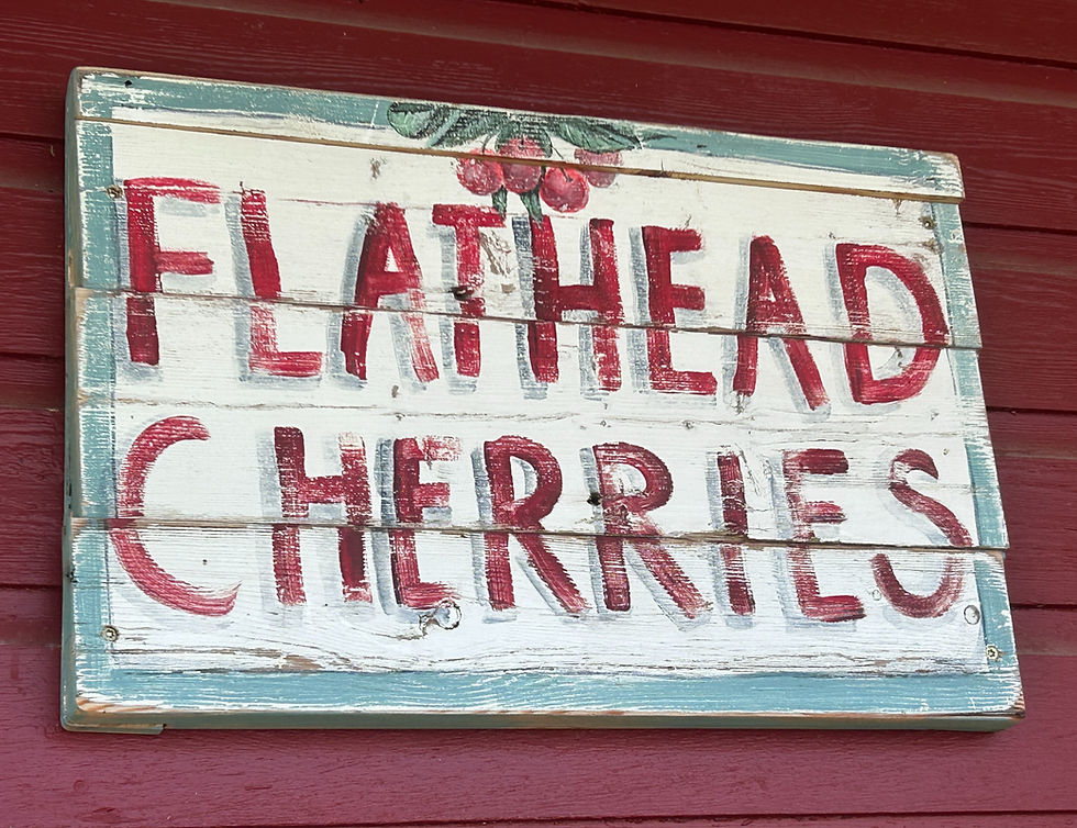 Cherry Season is Here!