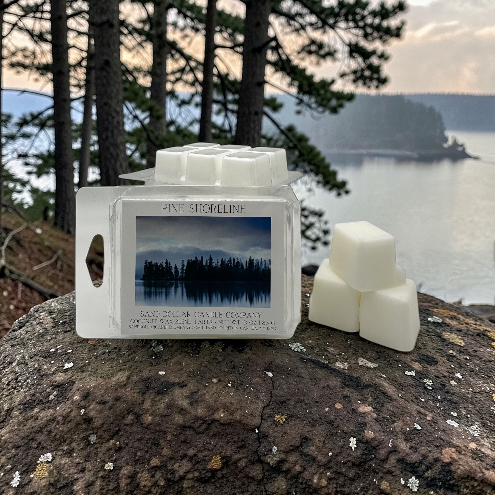 PINE SHORELINE