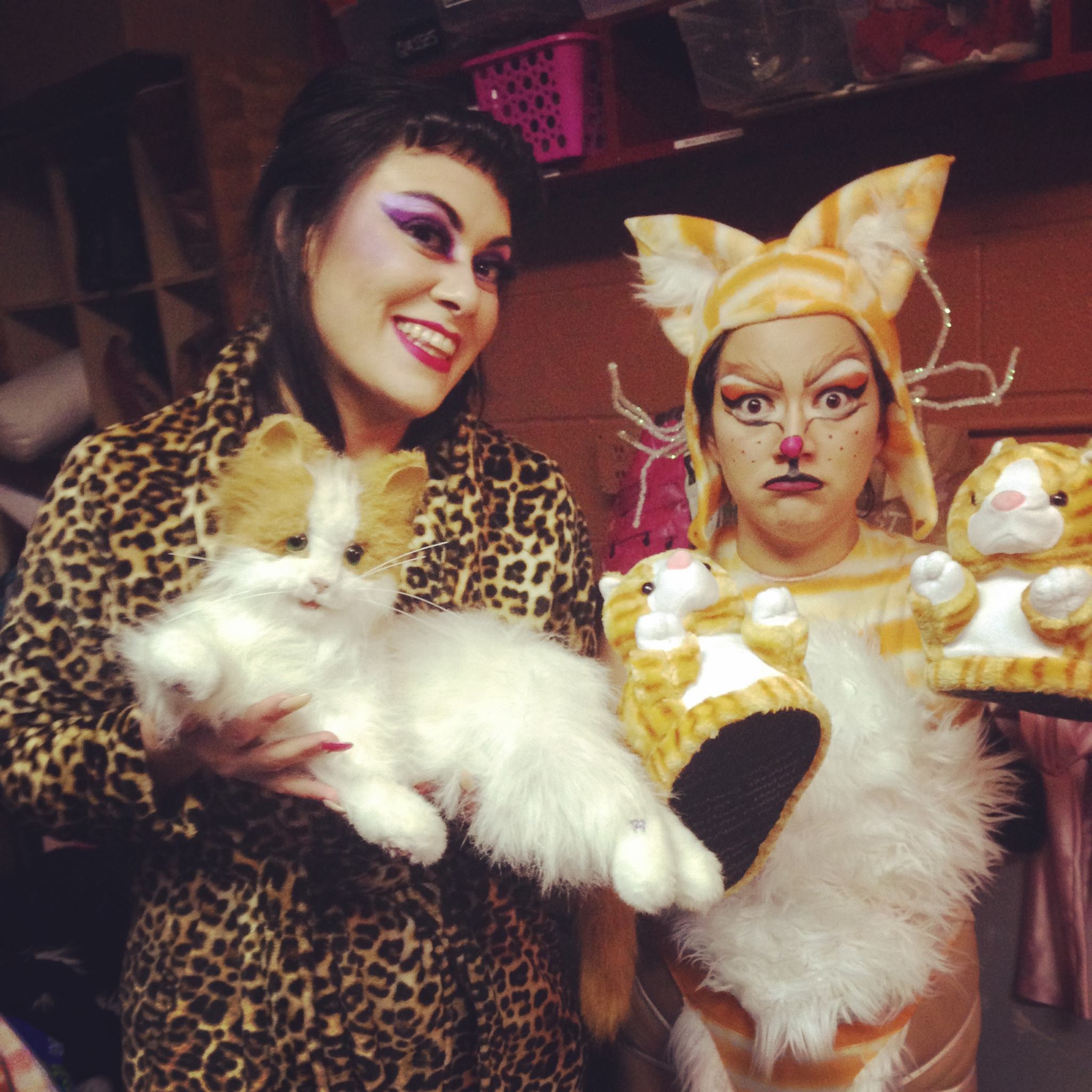 Tabby cat costume