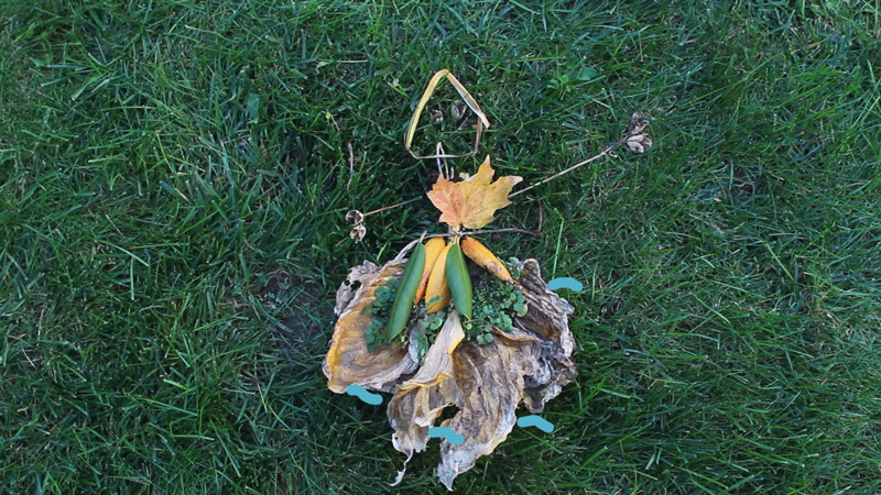 flower_fairy.gif
