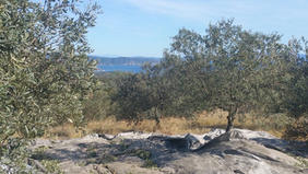 IMG-20171031-WA0012.jpg