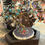 Miniatura: Albero della vita Turchese