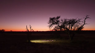 InsideOut Adventures: Winter in the Kgalagadi - Part 1