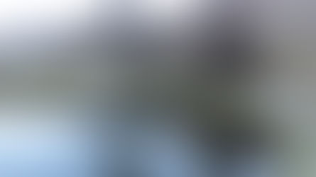 Winter Wonderland / Education Focus: Heat and Cold Therapy