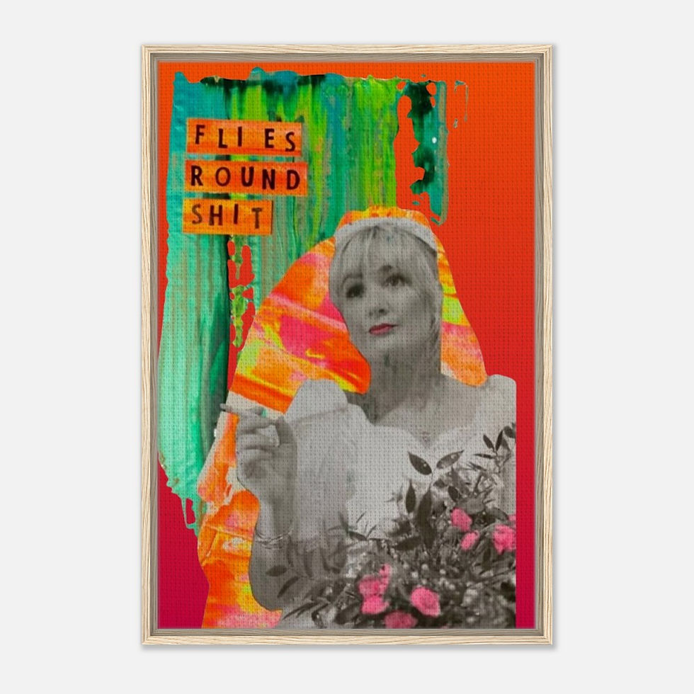 Flies Round Shit Framed Canvas