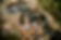 8.20.23 NMTD FY24 Lordsburg x RR-0472.jpeg
