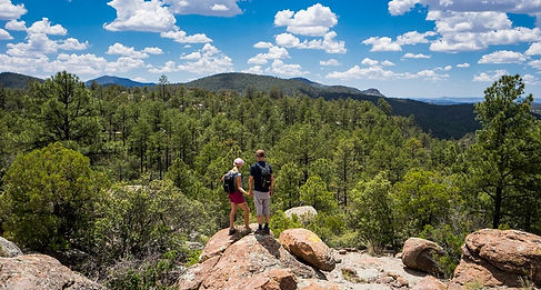 Gila National Forest
