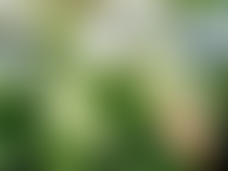 歐盟明年徵港口碳費 7國籲喊停「會把生意趕離歐洲」