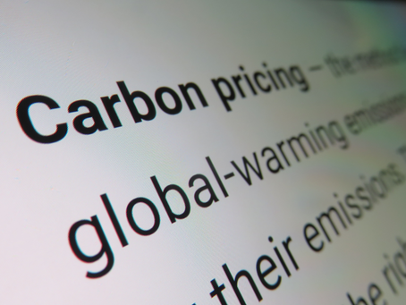 歐洲碳價 2024 年來跌20%