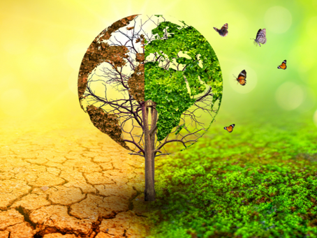 拜登將成立環境正義辦公室