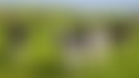 不僅紐西蘭管制牛羊打嗝、放屁 歐洲也祭出畜牧減排政策