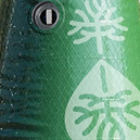bag-t2_edited.png