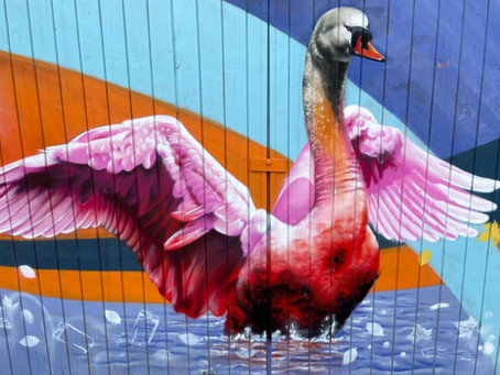 Street Art x Klassik Stiftung