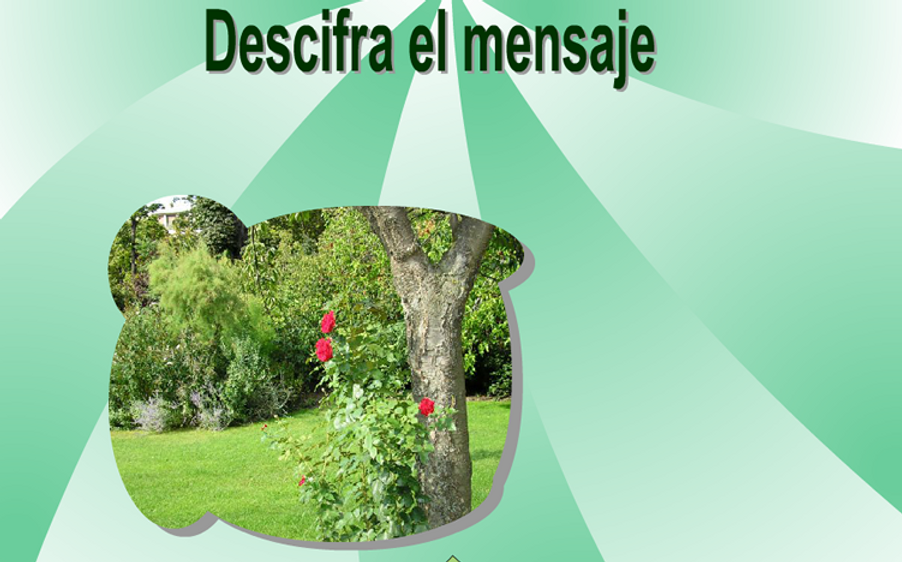 3º-4º-Primaria-Castellano-Descifra-el-me