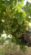S1200038.JPG