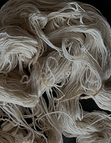 Screen Shot 2024-02-24 at 14.29.35.png