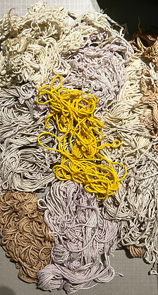 Screen Shot 2024-02-24 at 15.15.00.png