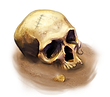 skull.png