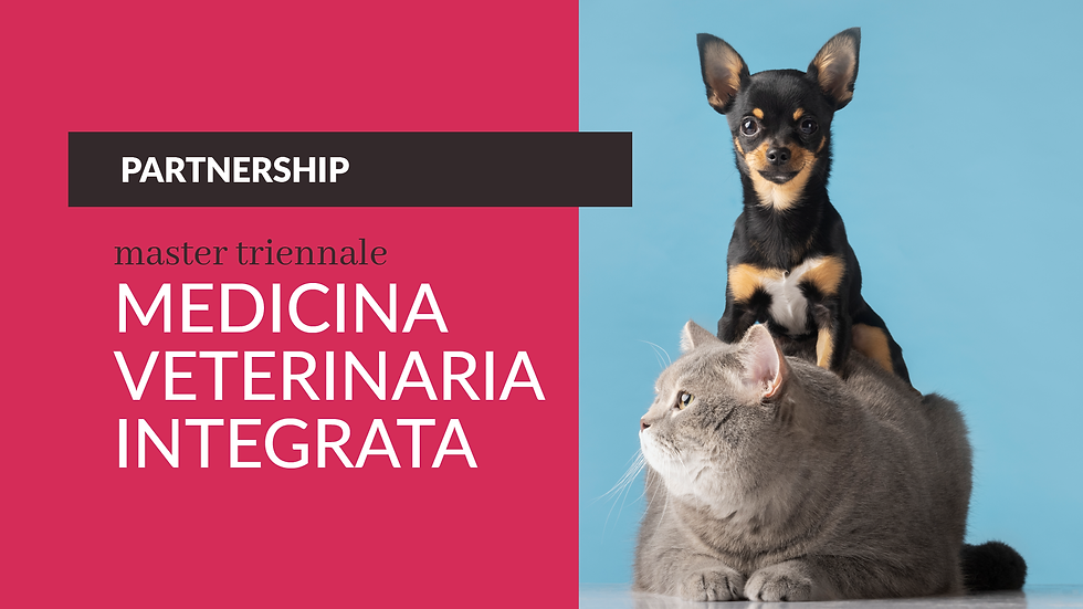 Spazio Reale Formazione - layout social_Spazio Reale Formazione - header master medicina v