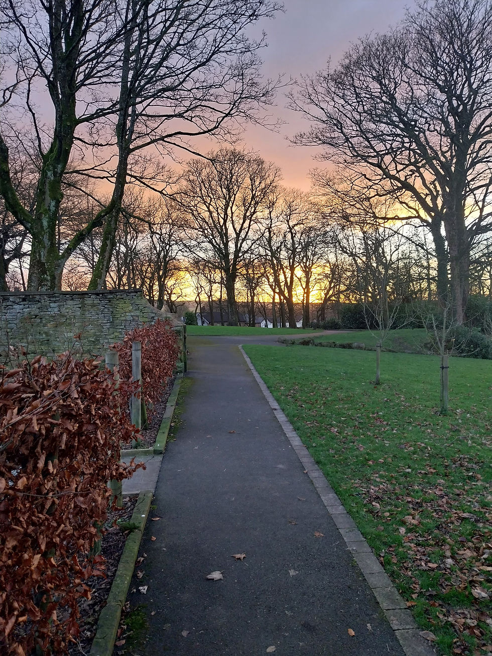 Rhydding Park