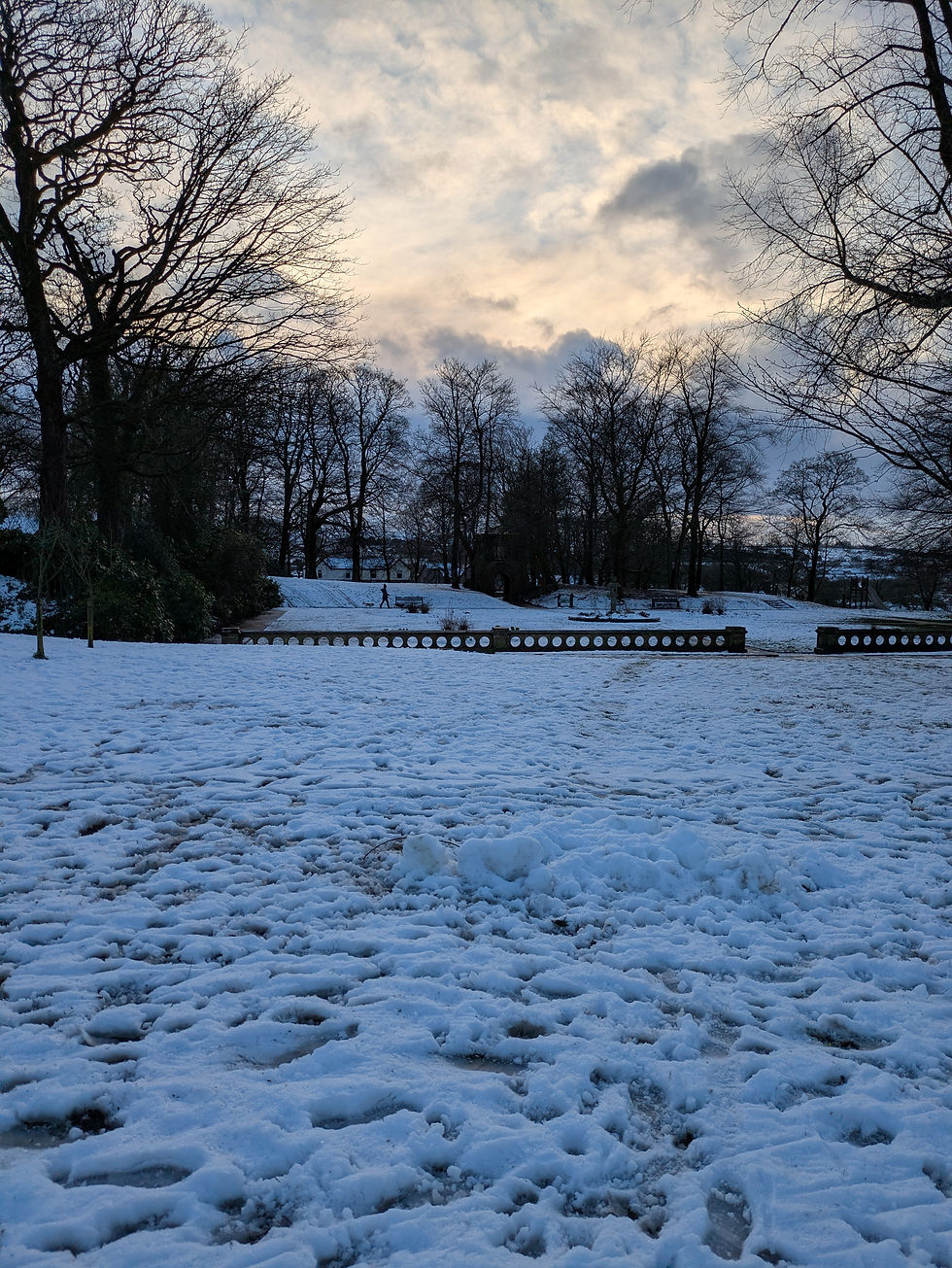 Rhydding Park