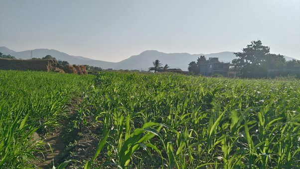 The Real Success According To Me