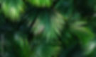 AdobeStock_613377848_Preview.jpeg
